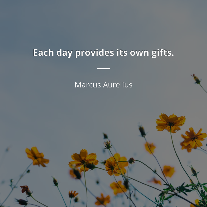 Marcus Aurelius citar: “Each day provides its own gifts.”