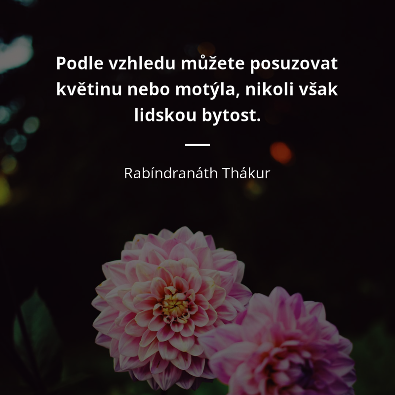Rabíndranáth Thákur citar: „Podle vzhledu můžete posuzovat květinu nebo motýla, nikoli však lidskou bytost.“