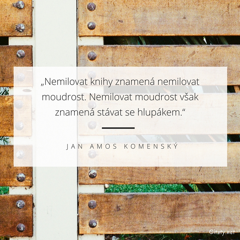 Jan Amos Komenský citar: „Nemilovat knihy znamená nemilovat moudrost. Nemilovat moudrost však znamená stát se hlupákem.“